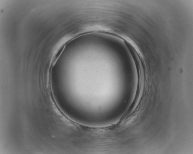 X0000072550815200607141251