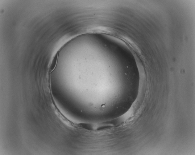 X0000072550816200607141251