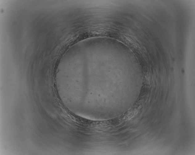 X0000072550817200607141250