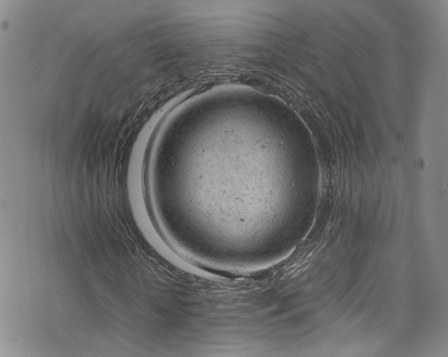 X0000072550818200607141250