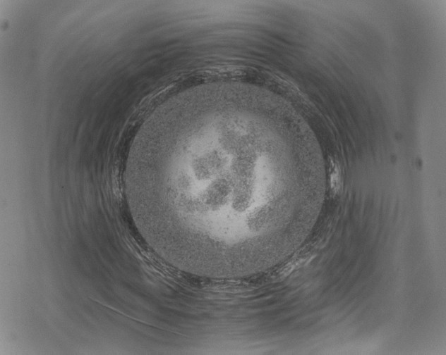 X0000072550819200607141250