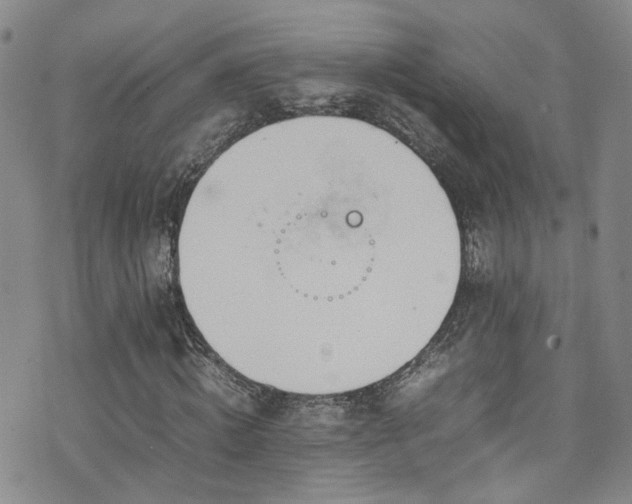 X0000072550820200607141250