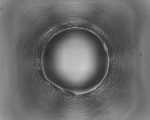 X0000072550822200607141250