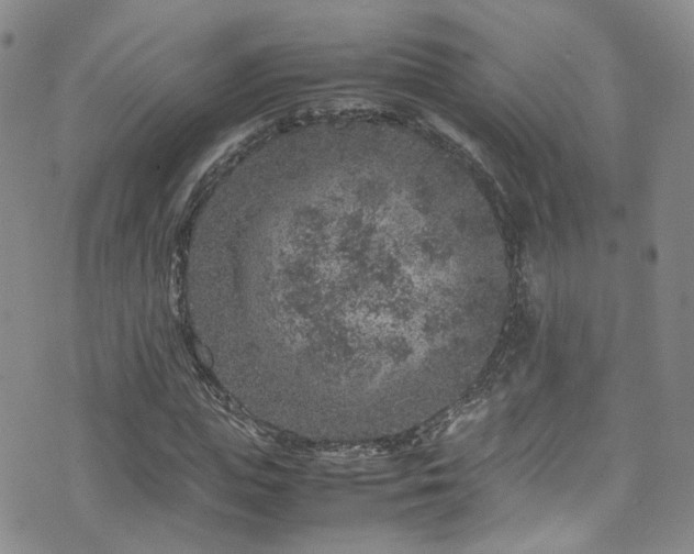 X0000072550823200607141250