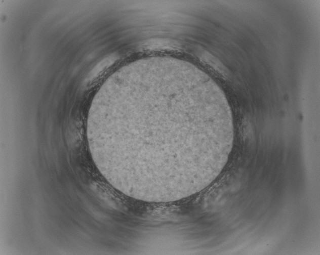 X0000072550824200607141250