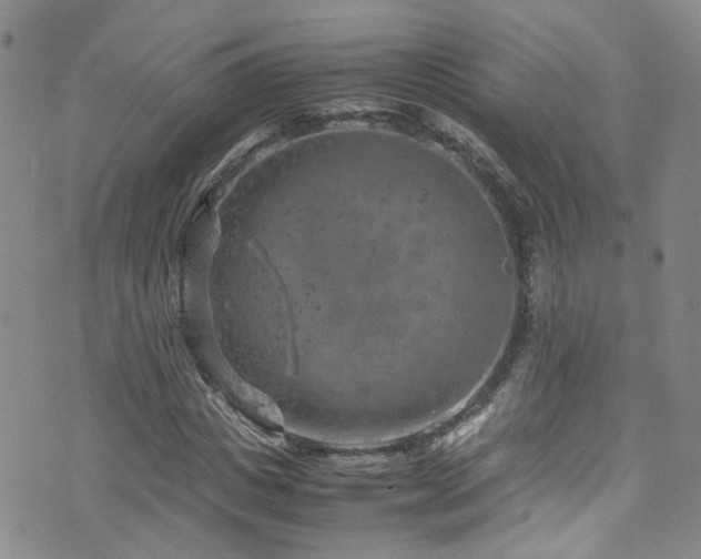 X0000072550825200607141250