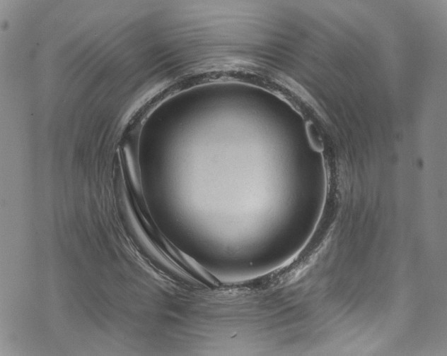 X0000072550826200607141250