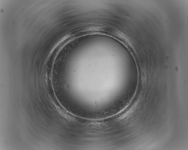 X0000072550827200607141250