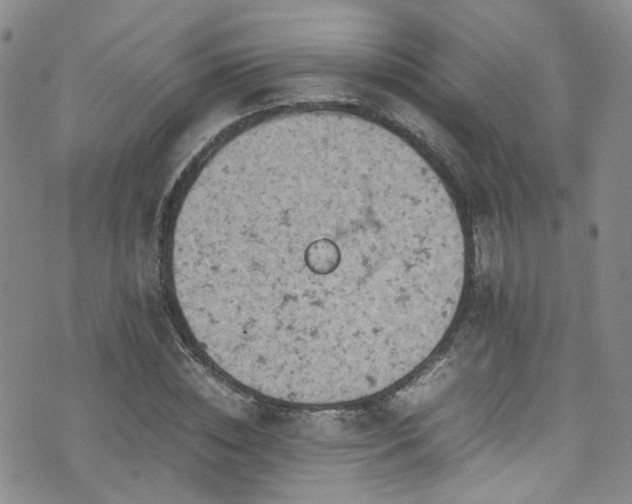 X0000072550828200607141250