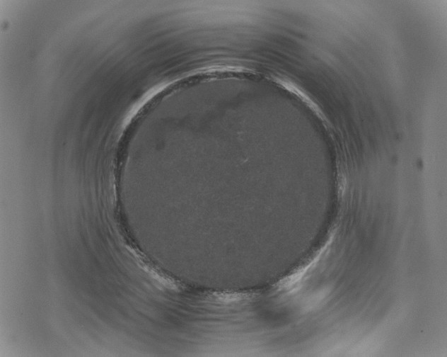 X0000072550829200607141250