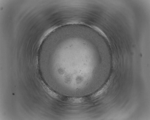 X0000072550831200607141250