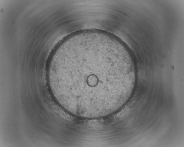 X0000072550832200607141250