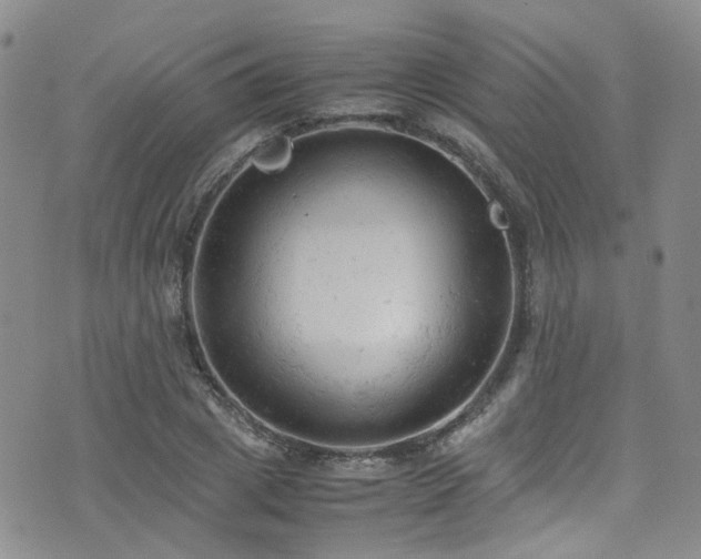 X0000072550833200607141250