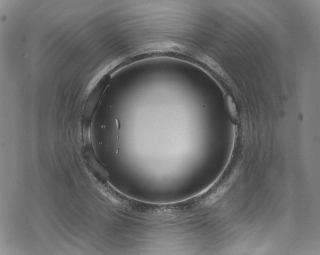 X0000072550834200607141250