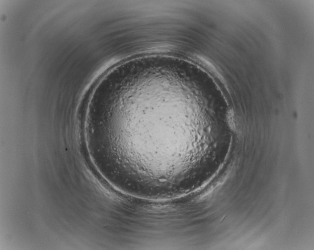 X0000072550835200607141250