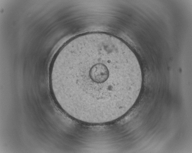 X0000072550836200607141250