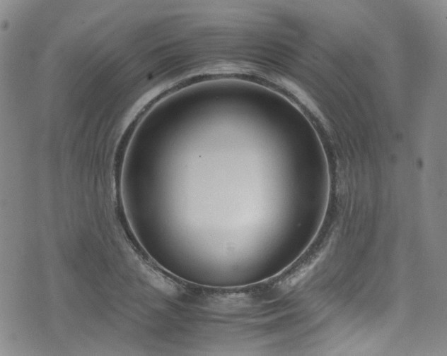 X0000072550837200607141250