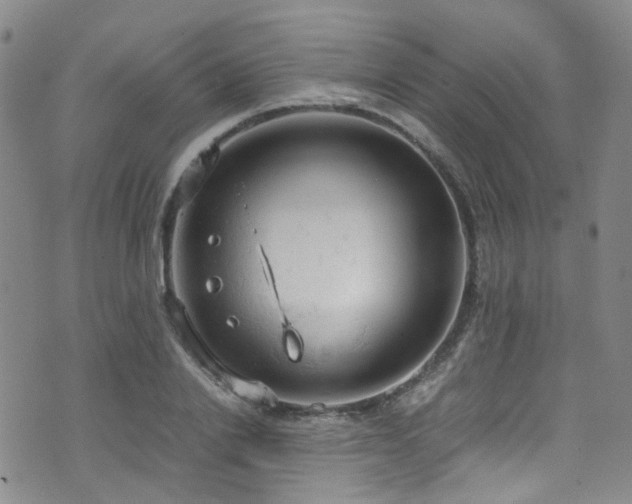 X0000072550838200607141250