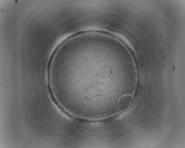 X0000072550839200607141250