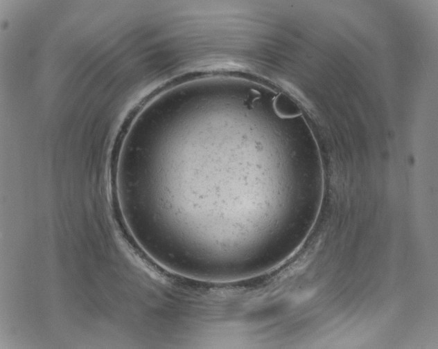 X0000072550840200607141250