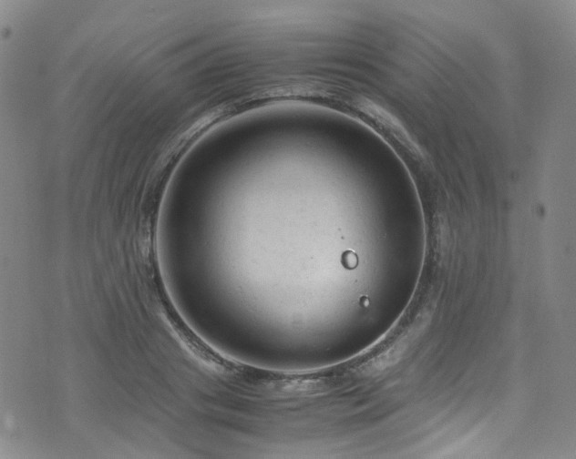 X0000072550841200607141250