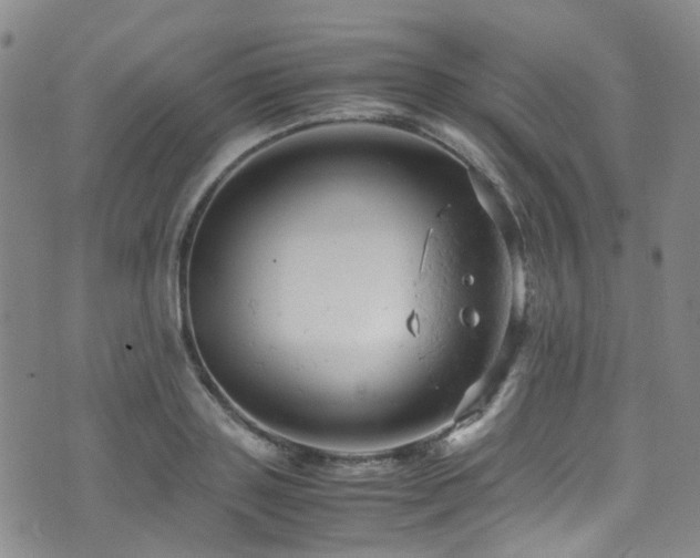 X0000072550843200607141250