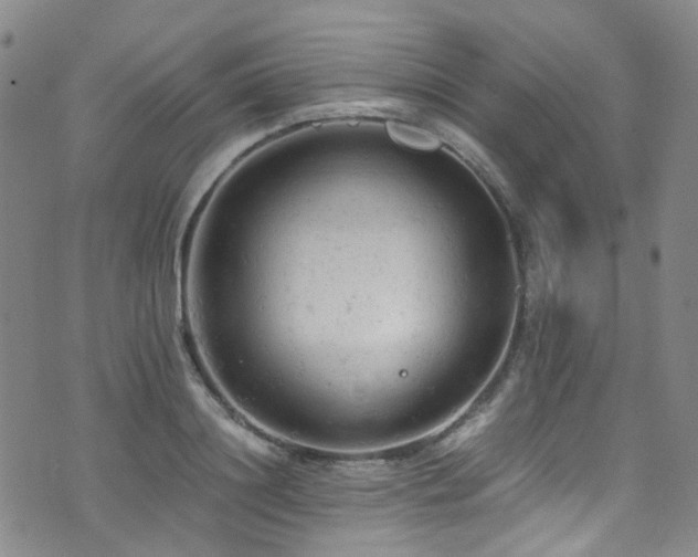 X0000072550844200607141251