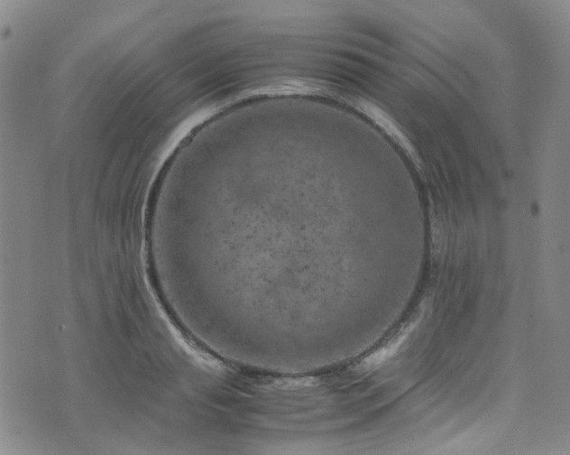 X0000072550845200607141251