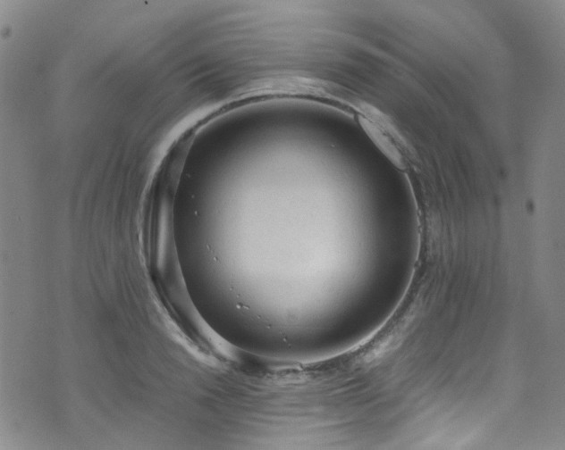 X0000072550846200607141251