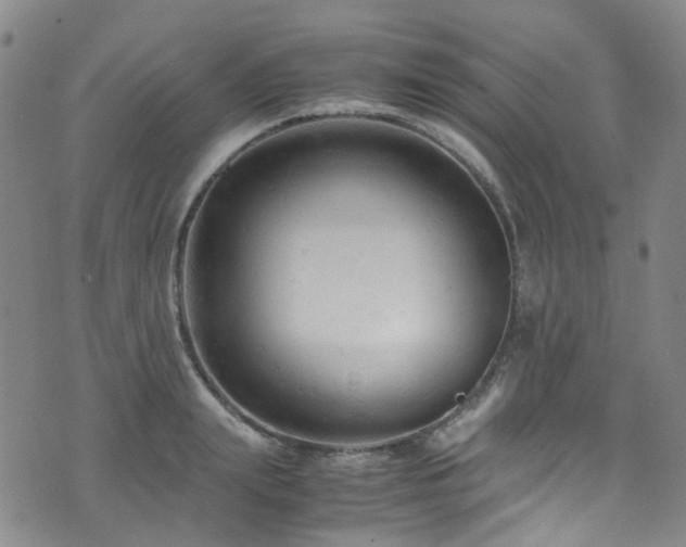 X0000072550847200607141251