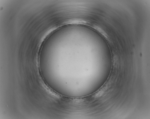 X0000072550848200607141251