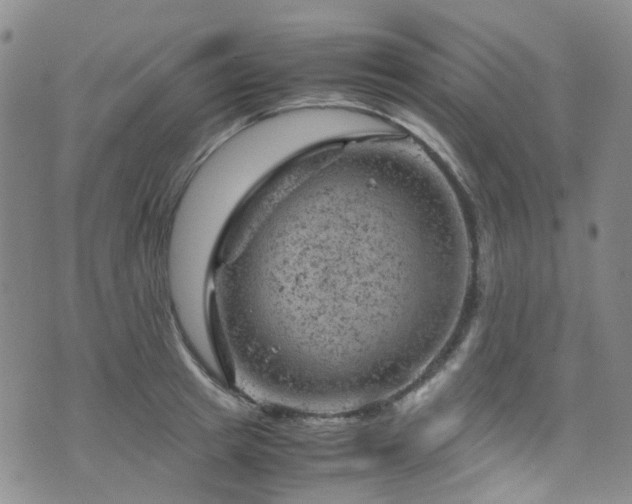 X0000072550849200607141251