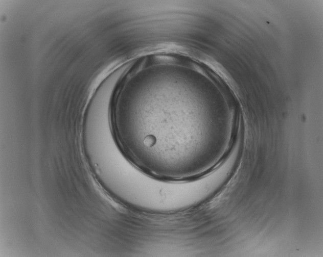 X0000072550850200607141251