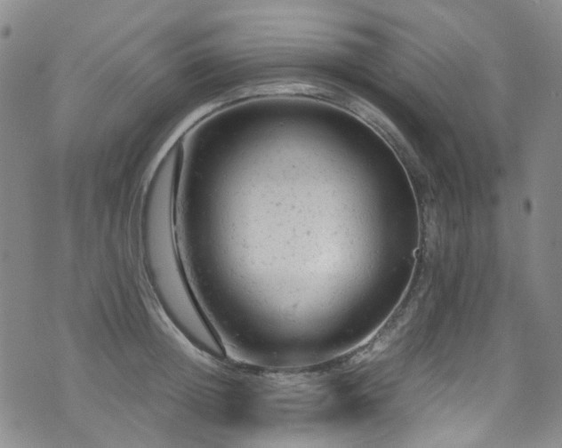 X0000072550852200607141251