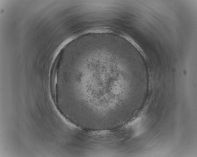 X0000072550853200607141251