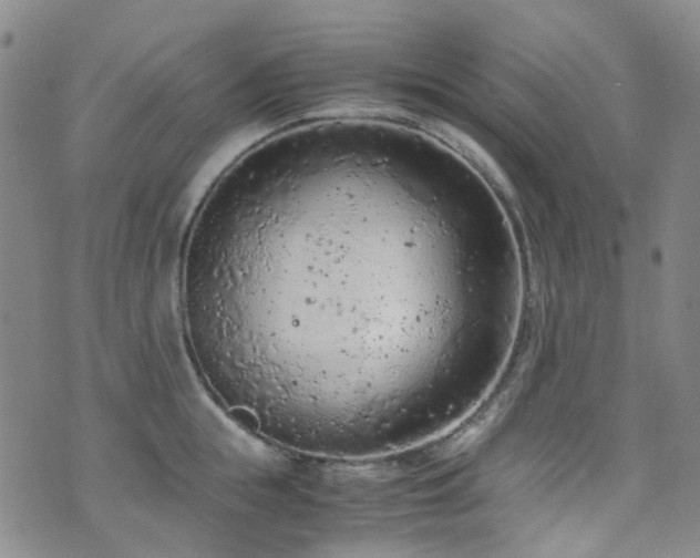 X0000072550855200607141251