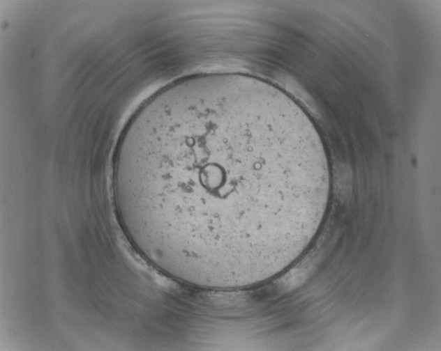 X0000072550856200607141251