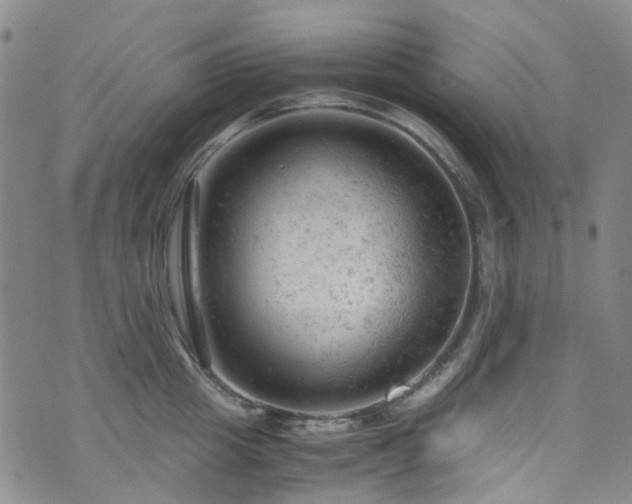 X0000072550857200607141251