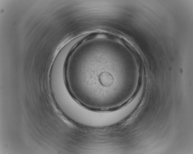 X0000072550858200607141251