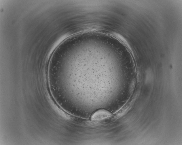 X0000072550859200607141251