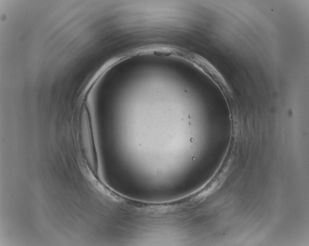 X0000072550860200607141251