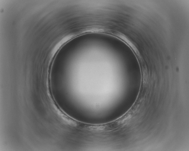 X0000072550861200607141251