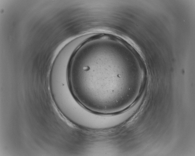 X0000072550862200607141251