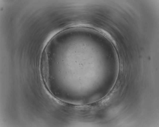 X0000072550863200607141251