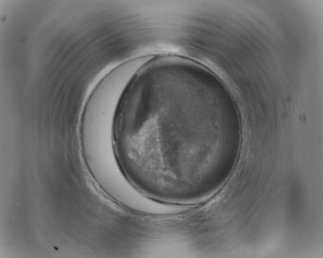 X0000072550864200607141251