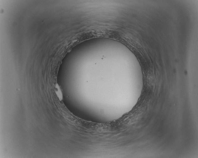 X0000072550865200607141250