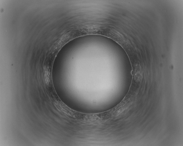 X0000072550866200607141250