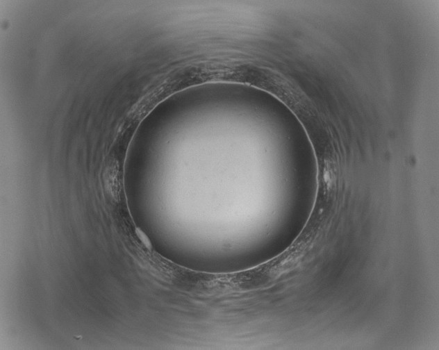 X0000072550867200607141250