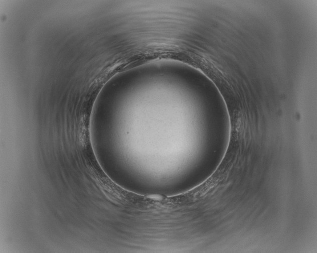 X0000072550868200607141250