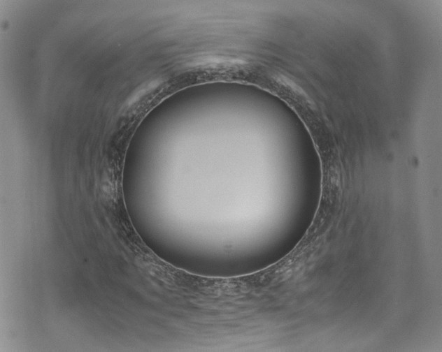 X0000072550869200607141250